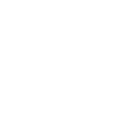 blank circle photo