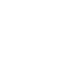 blank circle photo