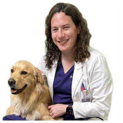 Dr. Jason Sweitzer, DVM